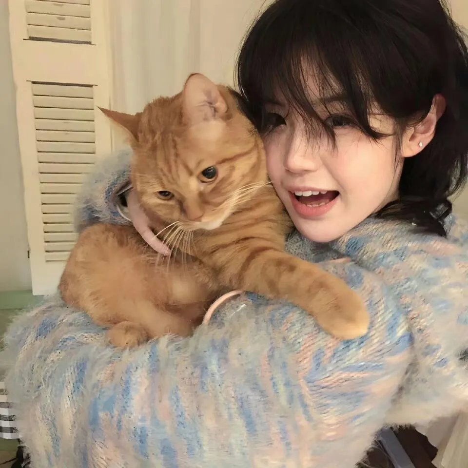 间谍亚契第二季